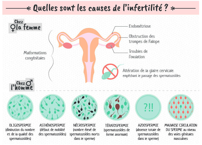 causes de infertilite