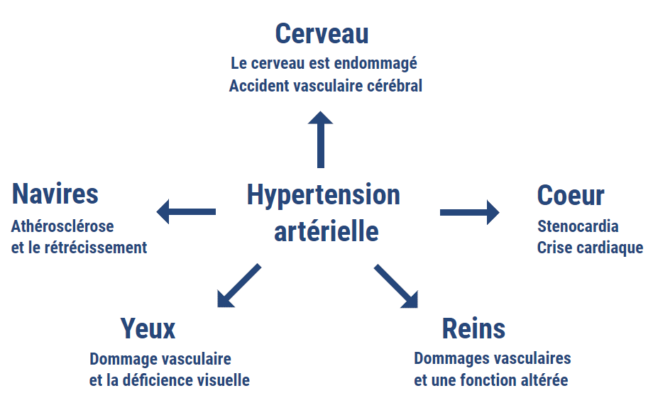 Conséquences de l'hypertension artérielle